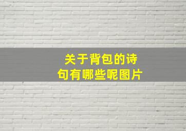 关于背包的诗句有哪些呢图片