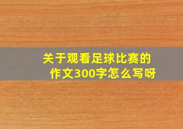 关于观看足球比赛的作文300字怎么写呀