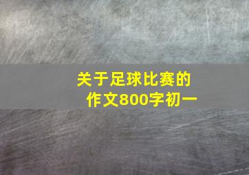 关于足球比赛的作文800字初一