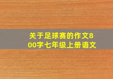 关于足球赛的作文800字七年级上册语文