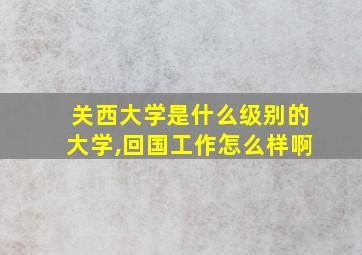 关西大学是什么级别的大学,回国工作怎么样啊