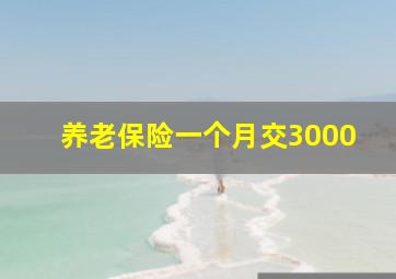 养老保险一个月交3000