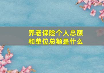 养老保险个人总额和单位总额是什么