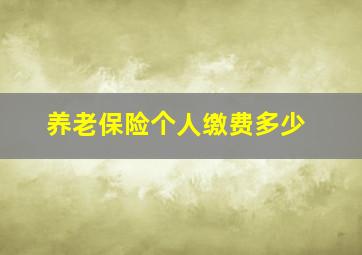 养老保险个人缴费多少