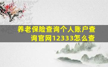 养老保险查询个人账户查询官网12333怎么查