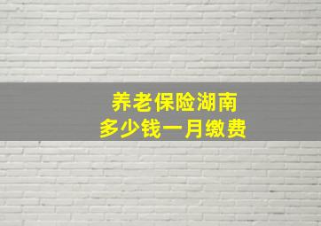 养老保险湖南多少钱一月缴费