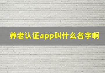 养老认证app叫什么名字啊