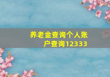 养老金查询个人账户查询12333