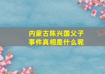 内蒙古陈兴国父子事件真相是什么呢