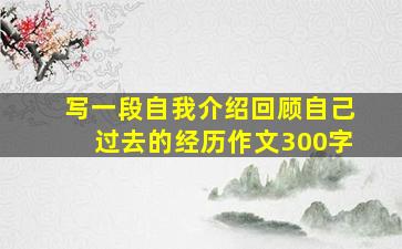 写一段自我介绍回顾自己过去的经历作文300字