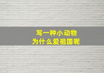 写一种小动物为什么爱祖国呢