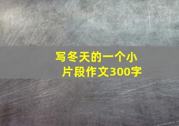 写冬天的一个小片段作文300字