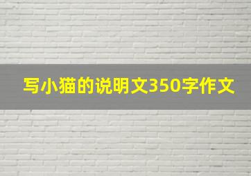 写小猫的说明文350字作文