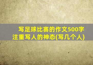 写足球比赛的作文500字注重写人的神态(写几个人)