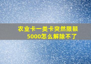 农业卡一类卡突然限额5000怎么解除不了