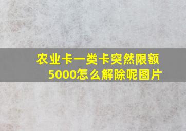 农业卡一类卡突然限额5000怎么解除呢图片