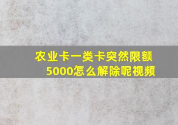 农业卡一类卡突然限额5000怎么解除呢视频