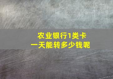 农业银行1类卡一天能转多少钱呢