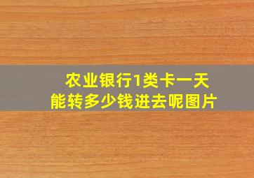 农业银行1类卡一天能转多少钱进去呢图片