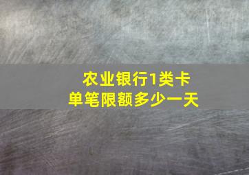 农业银行1类卡单笔限额多少一天