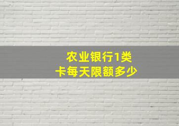 农业银行1类卡每天限额多少