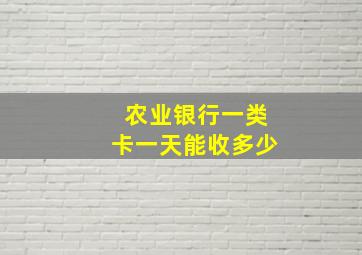 农业银行一类卡一天能收多少