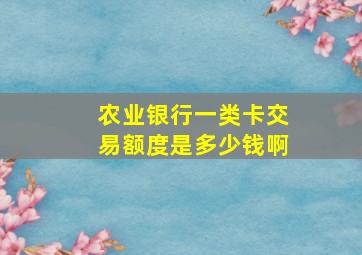 农业银行一类卡交易额度是多少钱啊