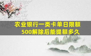 农业银行一类卡单日限额500解除后能提额多久