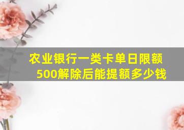 农业银行一类卡单日限额500解除后能提额多少钱