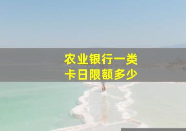 农业银行一类卡日限额多少