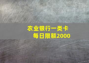 农业银行一类卡每日限额2000