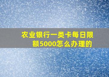 农业银行一类卡每日限额5000怎么办理的