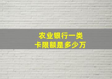 农业银行一类卡限额是多少万