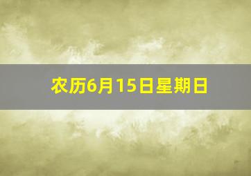 农历6月15日星期日