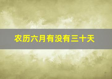 农历六月有没有三十天