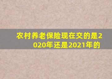 农村养老保险现在交的是2020年还是2021年的