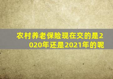 农村养老保险现在交的是2020年还是2021年的呢