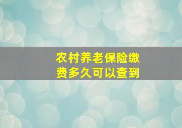 农村养老保险缴费多久可以查到