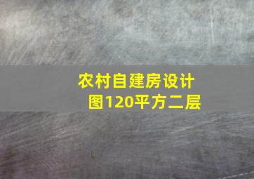 农村自建房设计图120平方二层