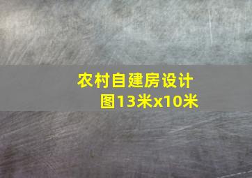 农村自建房设计图13米x10米