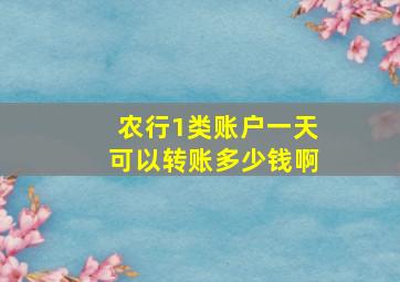 农行1类账户一天可以转账多少钱啊