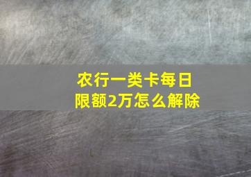 农行一类卡每日限额2万怎么解除