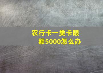 农行卡一类卡限额5000怎么办