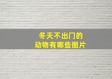 冬天不出门的动物有哪些图片