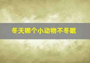 冬天哪个小动物不冬眠