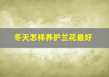 冬天怎样养护兰花最好