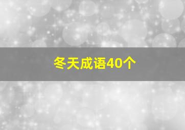 冬天成语40个