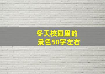 冬天校园里的景色50字左右