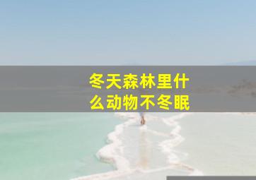 冬天森林里什么动物不冬眠