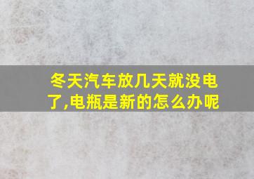 冬天汽车放几天就没电了,电瓶是新的怎么办呢